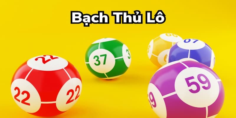 Bạch thủ lô miền Bắc Lợi ích khi chọn bạch thủ lô miền bắc