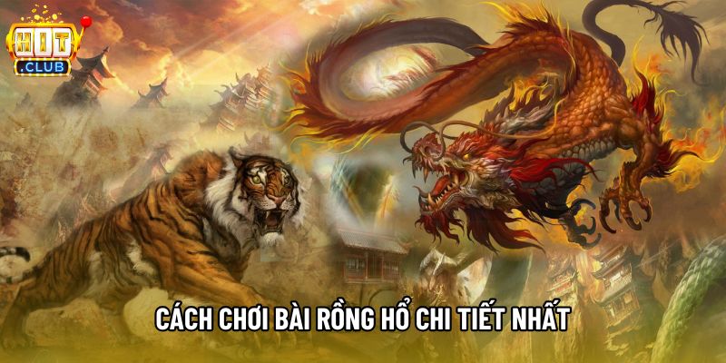 Cách chơi bài rồng hổ chi tiết nhất